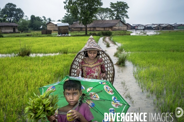 Birmanie : Rohingyas, une minorité sans voix.