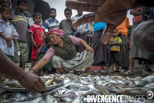 Birmanie : Rohingyas, une minorité sans voix.