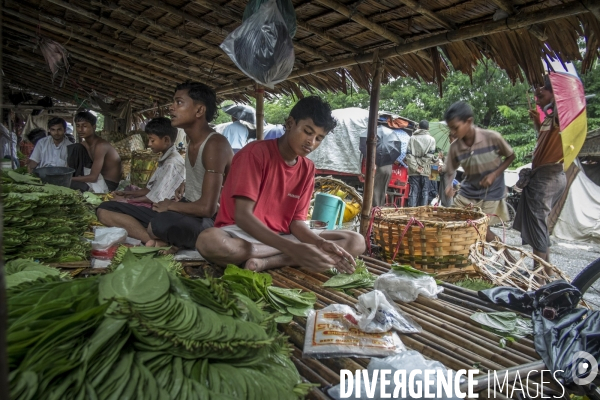 Birmanie : Rohingyas, une minorité sans voix.