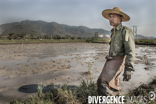 Birmanie-Mandalay & Lac Inle