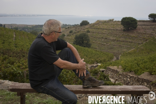 Vignes et vignerons de Banyuls