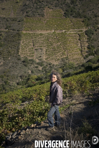 Vignes et vignerons de Banyuls