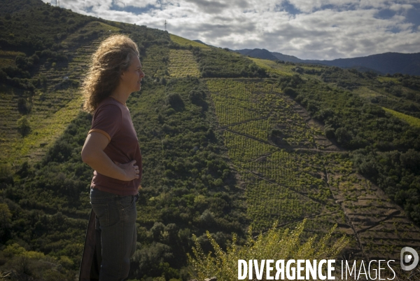 Vignes et vignerons de Banyuls