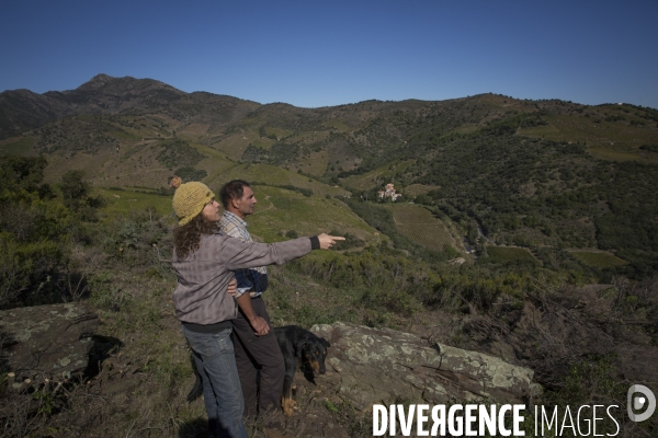 Vignes et vignerons de Banyuls