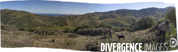 Vignes et vignerons de Banyuls