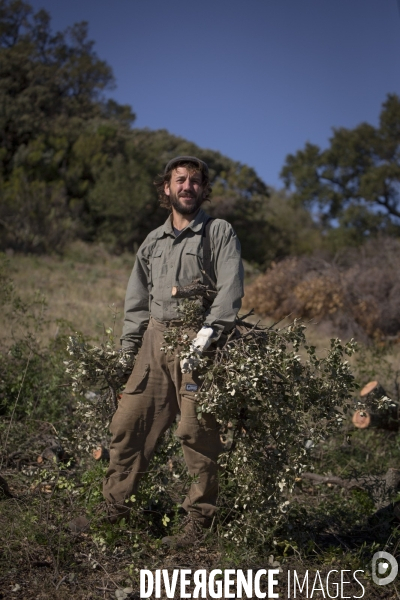 Vignes et vignerons de Banyuls