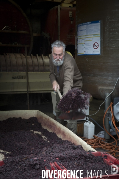 Vignes et vignerons de Banyuls