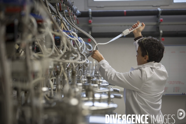 INRA Pech Rouge L avenir du vin