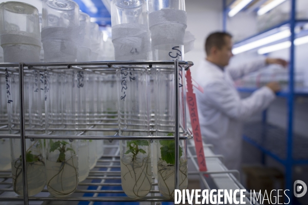 INRA Pech Rouge L avenir du vin