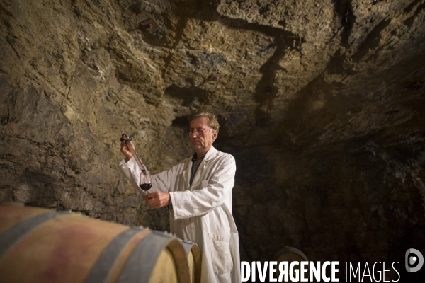 INRA Pech Rouge L avenir du vin