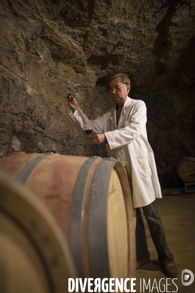 INRA Pech Rouge L avenir du vin