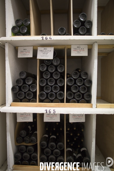 INRA Pech Rouge L avenir du vin