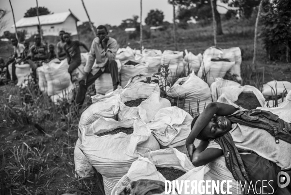 Refugees from car just arrived in the unhcr bili camp, in north congo drc.