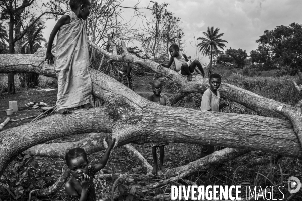 Refugees from car just arrived in the unhcr bili camp, in north congo drc.