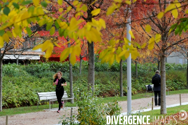 Ilustration Octobre 2015.Automne au parc Martin Luther King