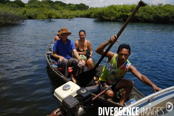 BRESIL , Amazonie : Croisière sur l  Amazon Dream