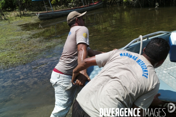 BRESIL , Amazonie : Croisière sur l  Amazon Dream