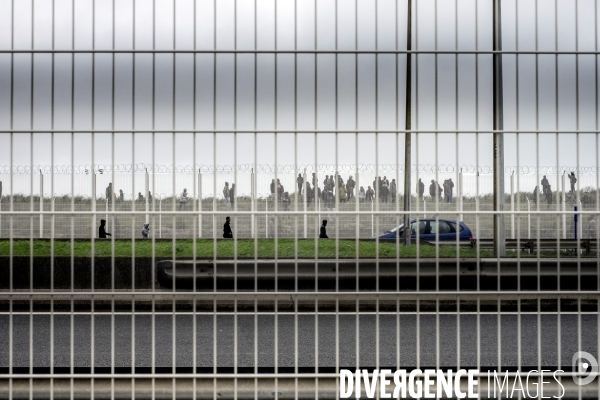 Jungle de Calais