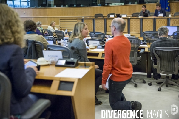 L Europe, Bruxelles, le parlement européen, Les Verts et les lobbies