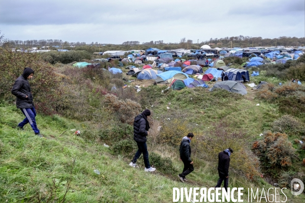 Jungle de Calais