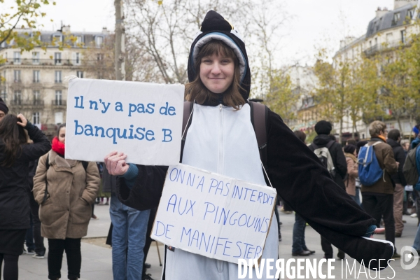 COP 21 : Manifestation place de la République