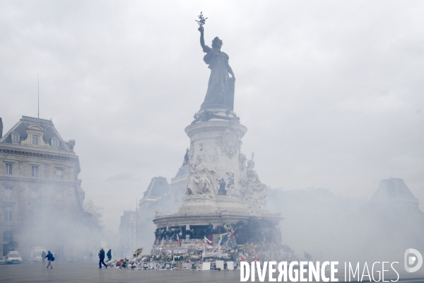 COP 21 : Manifestation place de la République