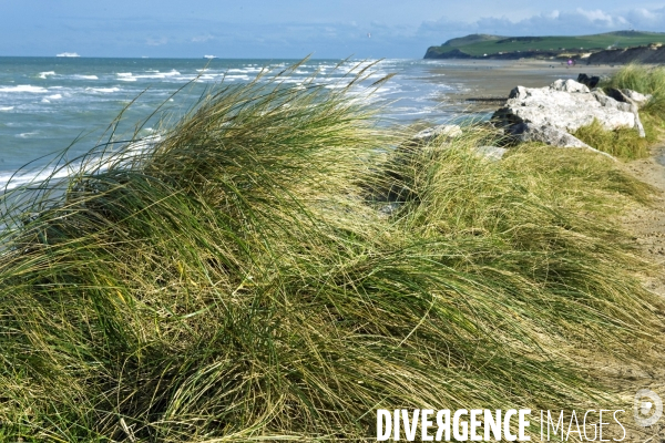 Illustration Novembre2015.La baie de Wissant vue vers le cap Blanc Nez