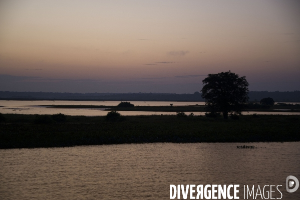 L  AMAZONIE brésilienne de l  Etat du PARA entre Curua-Una et Alter do Chao.