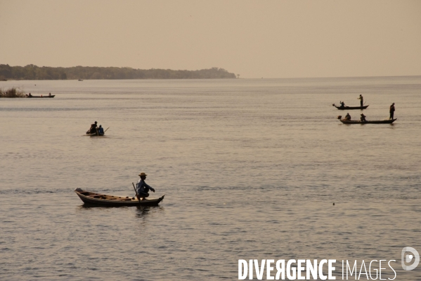 L  AMAZONIE brésilienne de l  Etat du PARA entre Curua-Una et Alter do Chao.