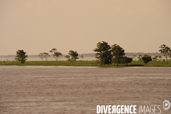 L  AMAZONIE brésilienne de l  Etat du PARA entre Curua-Una et Alter do Chao.