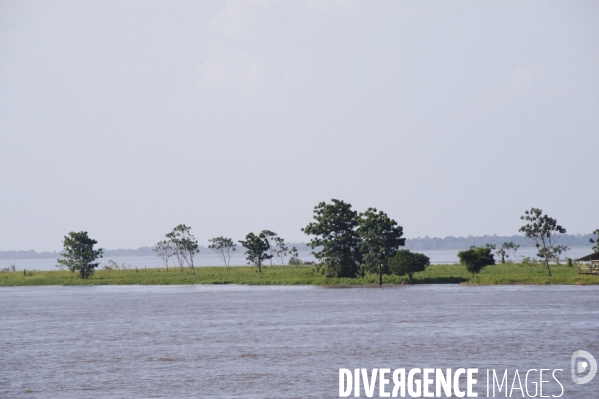 L  AMAZONIE brésilienne de l  Etat du PARA entre Curua-Una et Alter do Chao.