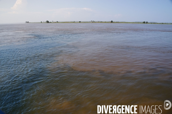 L  AMAZONIE brésilienne de l  Etat du PARA entre Curua-Una et Alter do Chao.