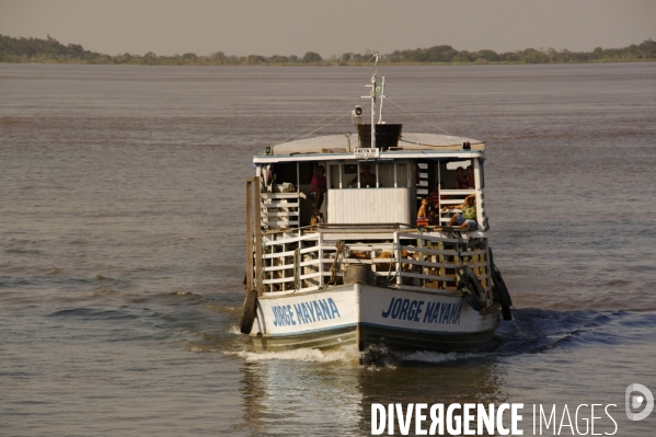 L  AMAZONIE brésilienne de l  Etat du PARA entre Curua-Una et Alter do Chao.