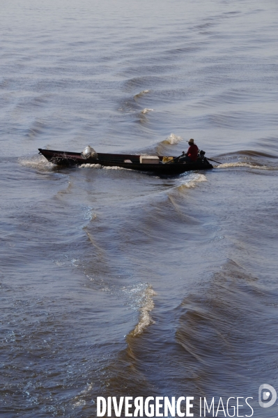 L  AMAZONIE brésilienne de l  Etat du PARA entre Curua-Una et Alter do Chao.