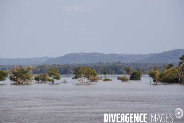 L  AMAZONIE brésilienne de l  Etat du PARA entre Curua-Una et Alter do Chao.