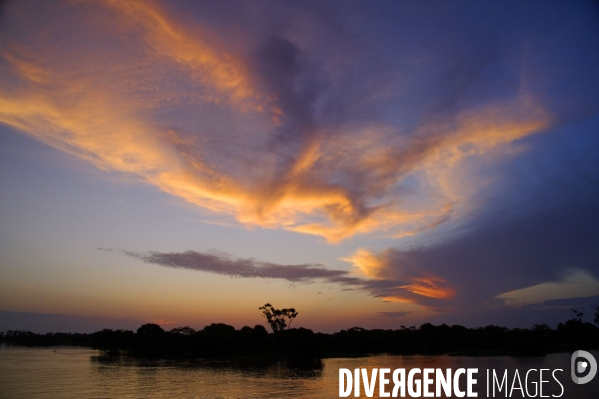 L  AMAZONIE brésilienne de l  Etat du PARA entre Curua-Una et Alter do Chao.