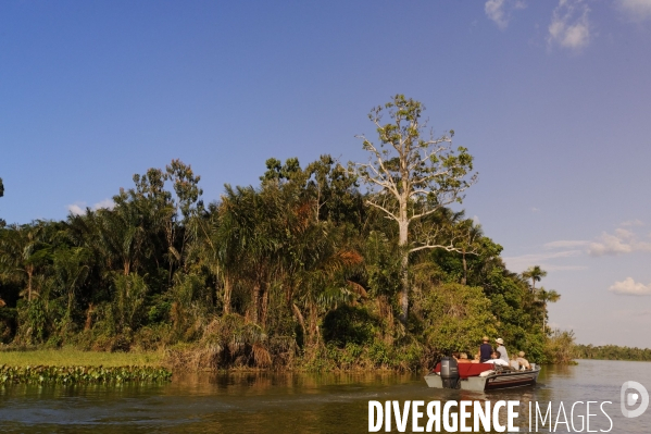 L  AMAZONIE brésilienne de l  Etat du PARA entre Curua-Una et Alter do Chao.