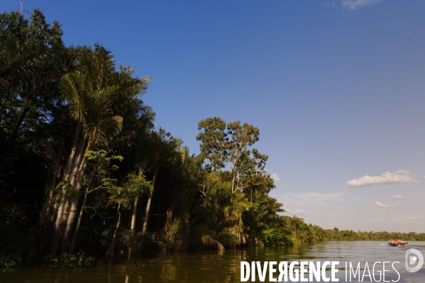 L  AMAZONIE brésilienne de l  Etat du PARA entre Curua-Una et Alter do Chao.