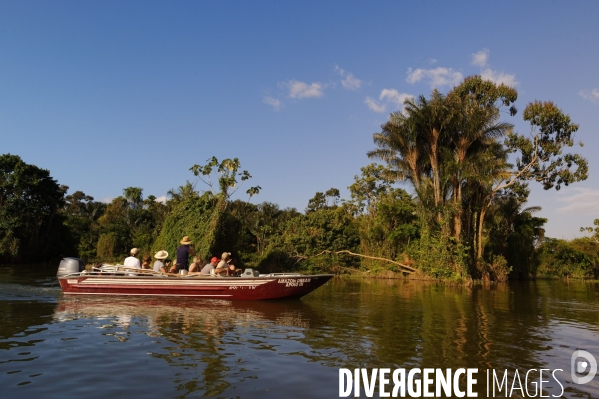 L  AMAZONIE brésilienne de l  Etat du PARA entre Curua-Una et Alter do Chao.