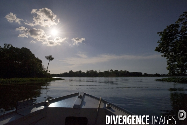 L  AMAZONIE brésilienne de l  Etat du PARA entre Curua-Una et Alter do Chao.