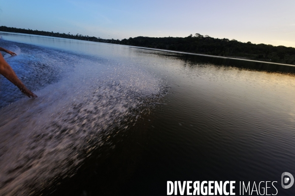 L  AMAZONIE brésilienne de l  Etat du PARA entre Curua-Una et Alter do Chao.