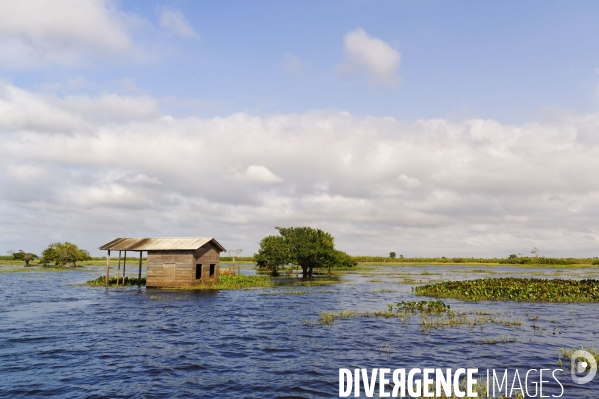 L  AMAZONIE brésilienne de l  Etat du PARA entre Curua-Una et Alter do Chao.