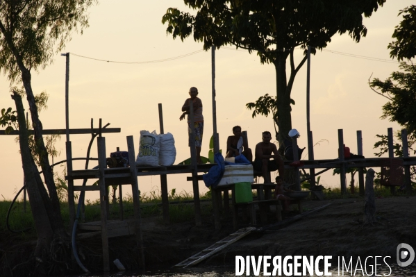 L  AMAZONIE brésilienne de l  Etat du PARA entre Curua-Una et Alter do Chao.