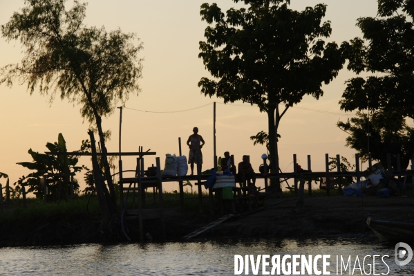 L  AMAZONIE brésilienne de l  Etat du PARA entre Curua-Una et Alter do Chao.