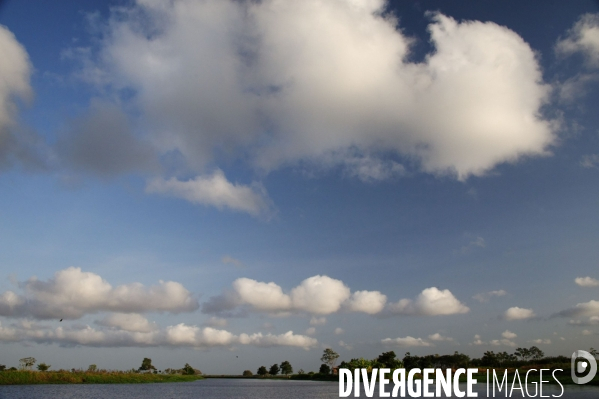 L  AMAZONIE brésilienne de l  Etat du PARA entre Curua-Una et Alter do Chao.