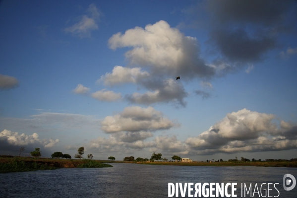 L  AMAZONIE brésilienne de l  Etat du PARA entre Curua-Una et Alter do Chao.