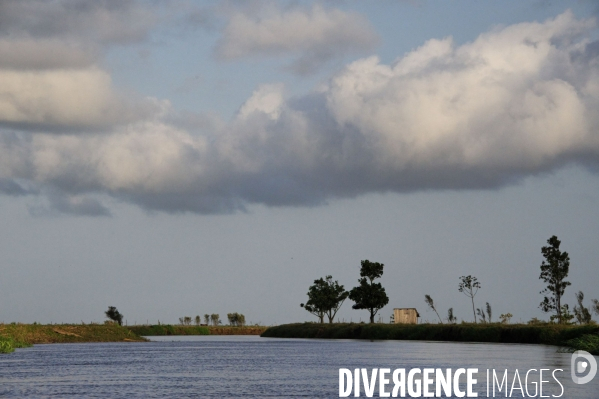 L  AMAZONIE brésilienne de l  Etat du PARA entre Curua-Una et Alter do Chao.