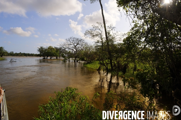 L  AMAZONIE brésilienne de l  Etat du PARA entre Curua-Una et Alter do Chao.