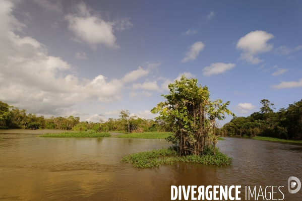 L  AMAZONIE brésilienne de l  Etat du PARA entre Curua-Una et Alter do Chao.