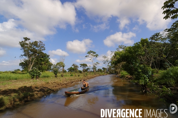 L  AMAZONIE brésilienne de l  Etat du PARA entre Curua-Una et Alter do Chao.